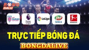 Bongdalive - Kênh truyền hình trực tiếp bóng đá Top 1 Việt Nam