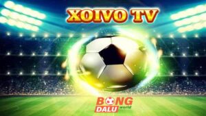 Xoivo tv - Trực tiếp bóng đá Full HD hôm nay